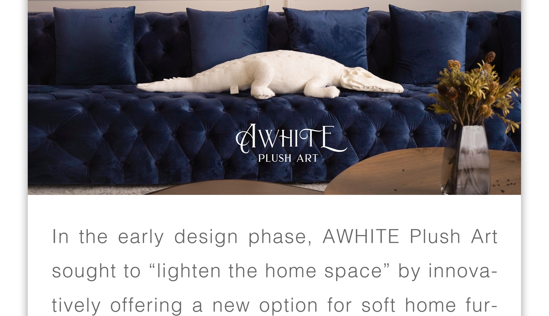 AWHITE intro first section 5