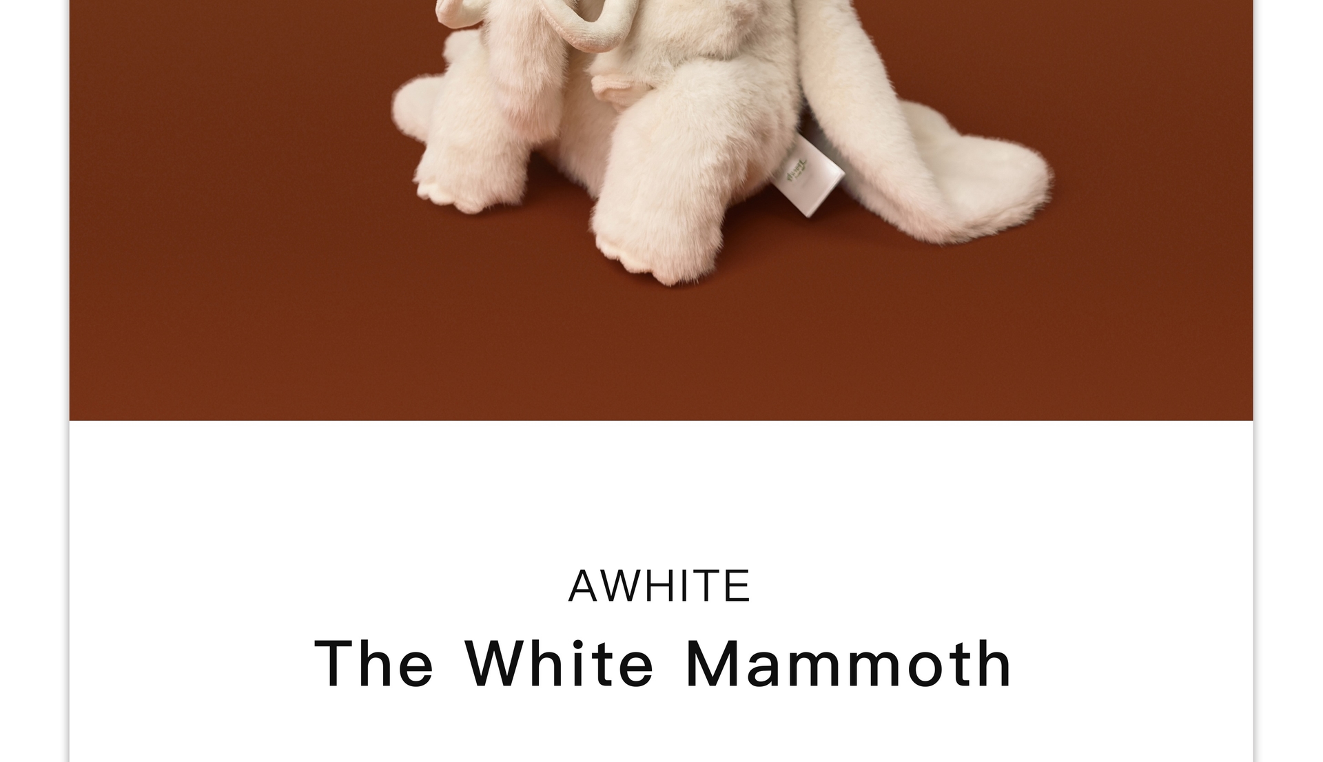 AWHITE intro first section 23