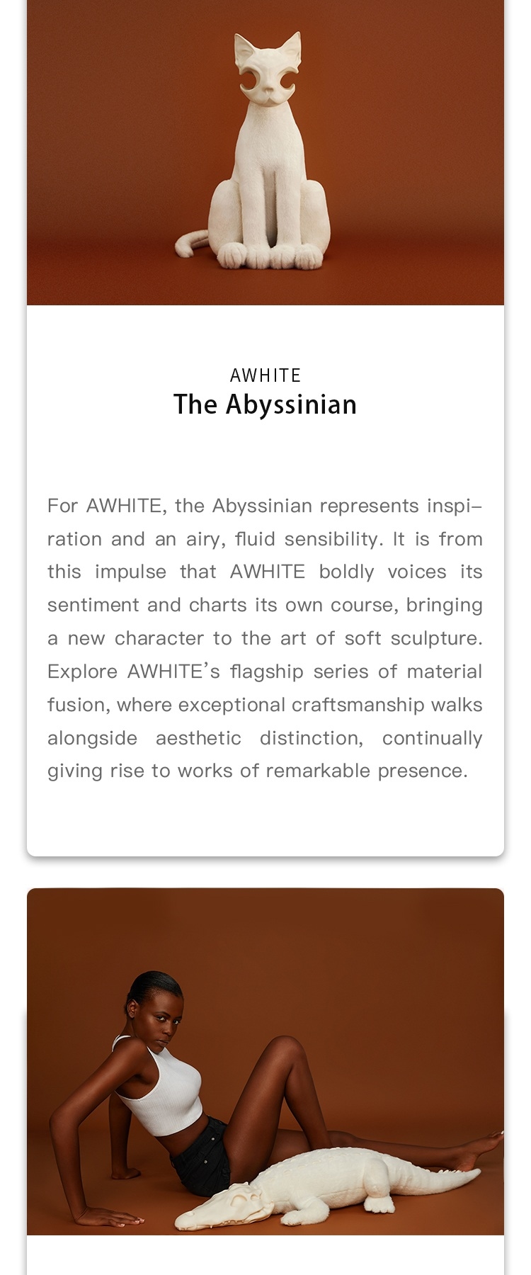 AWHITE intro second section 4
